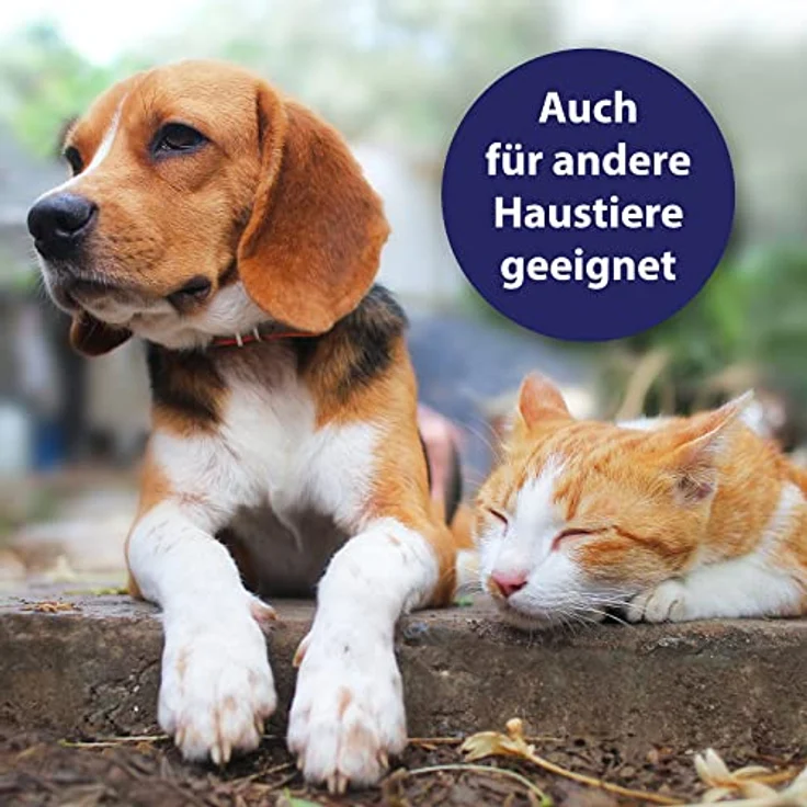 Canosept Hautpflege Spray für Hunde, 250ml - Regenerierende Lotion gegen Juckreiz und Hautreizungen, natürliche Wirkstoffe – Bild 3