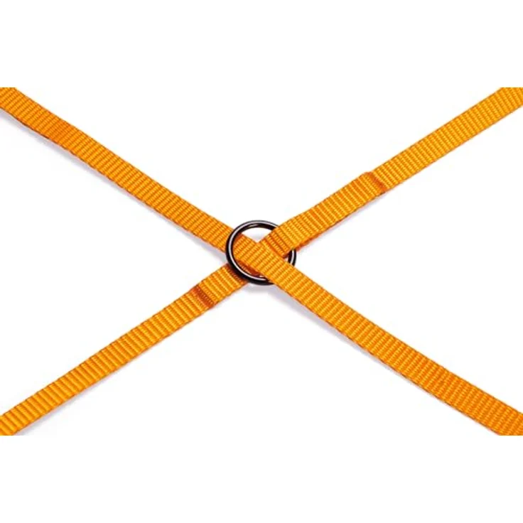 Karlie Art Sportiv Plus Führleine neue universal Farben Mix and Match L: 200 cm B: 20 mm M orange – Bild 4