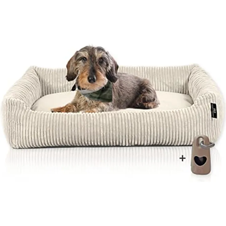 Rohrschneider Hundebett waschbar für kleine und mittelgroße Hunde mit Hundekissen Cord beige (ca. 70x50 cm) inkl. Gassibeutel