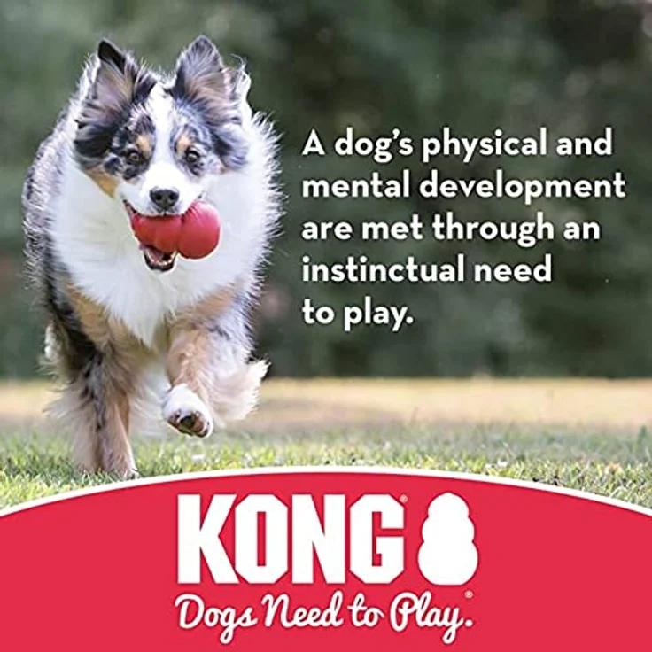 KONG – Tug – Robuster, Dehnbarer Naturkautschuk, Zerrspielzeug – Für Mittelgroße Hunde – Bild 4