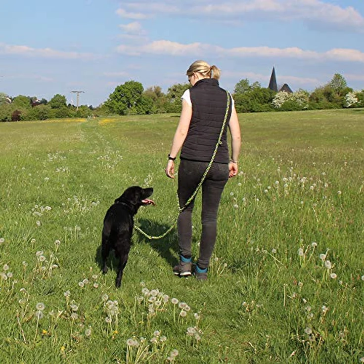Activity4Dogs Geflochtene Hundeleine, 4-fach verstellbar, 2,80 m, Ø 15 mm, grün-schwarz-weiß, für große Hunde, Made in Germany – Bild 3
