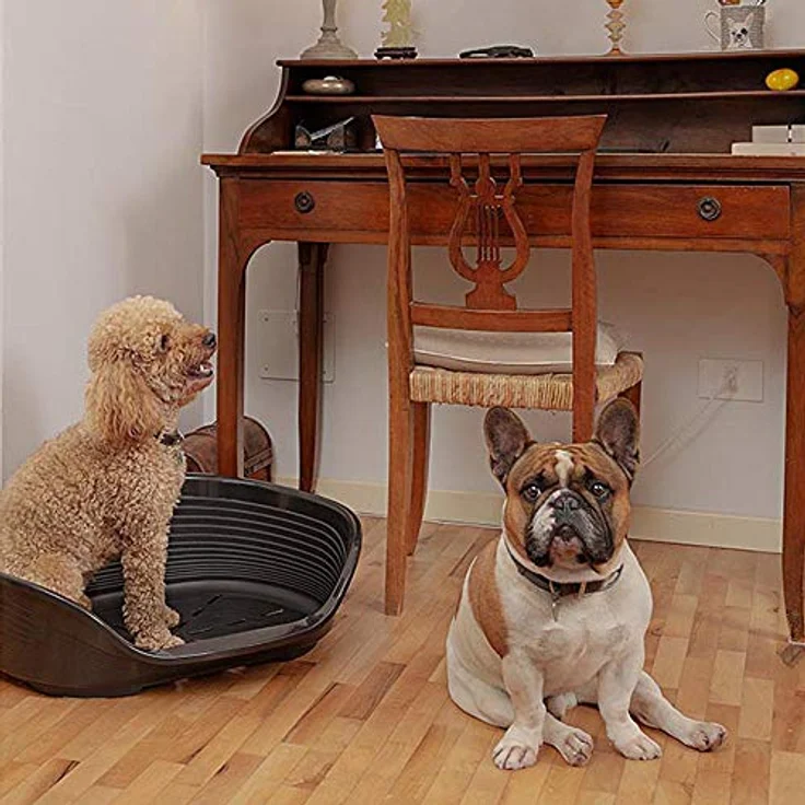 Ferplast Siesta Deluxe 6, Hundebett + Katzenbett aus robustem Kunststoff, leicht zu reinigen – Bild 3