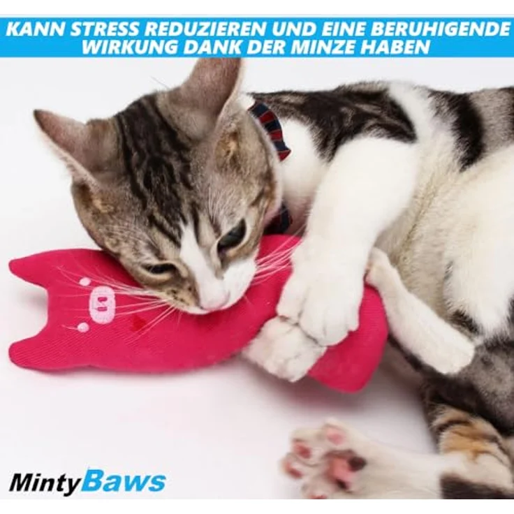 MAVURA MintyBaws Katzenminze Kissen Set Katzenspielzeug, (Katzenminze-Kissen Katzen Interaktiv), Spielzeug Beschäftigung Minze [5er Set] – Bild 5