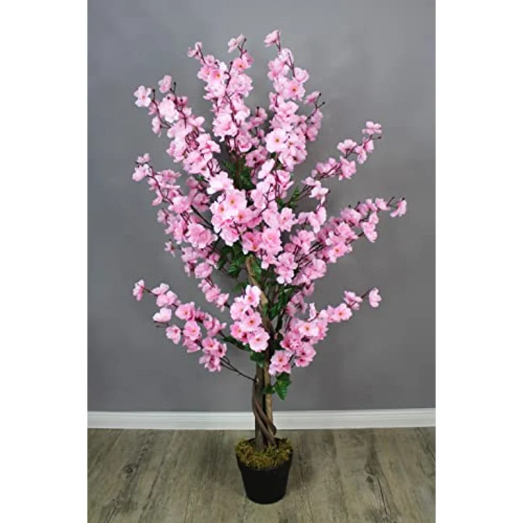 monstera zu gro Groe Monstera am Stab 110-120cm