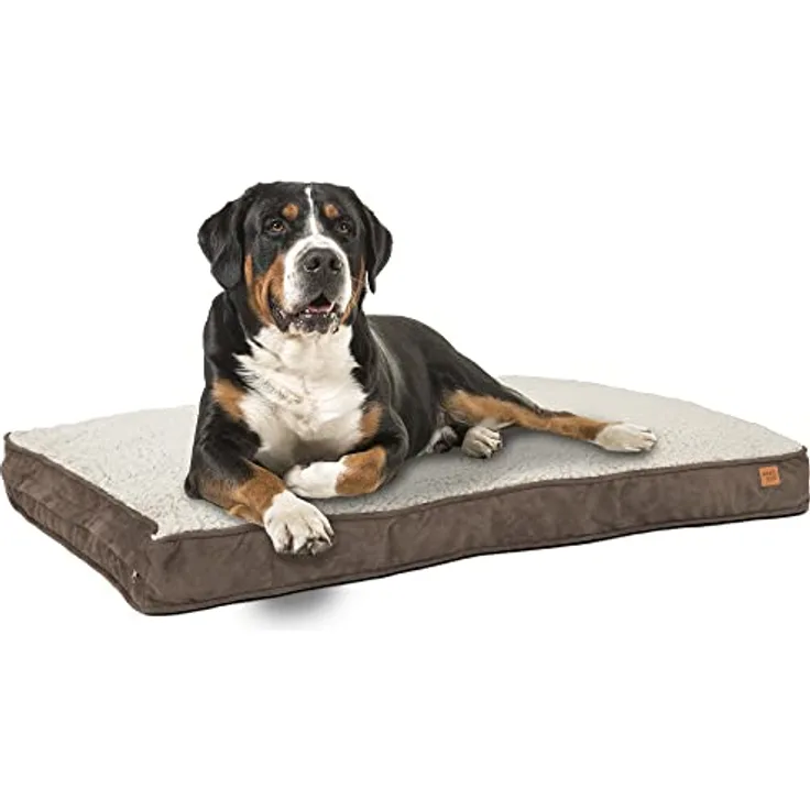 ib style® Happy Dreams Haustierbett | Hundematte | mit Reißverschluss | Anti-Rutsch Unterseite | XL (120x78cm) | Braun
