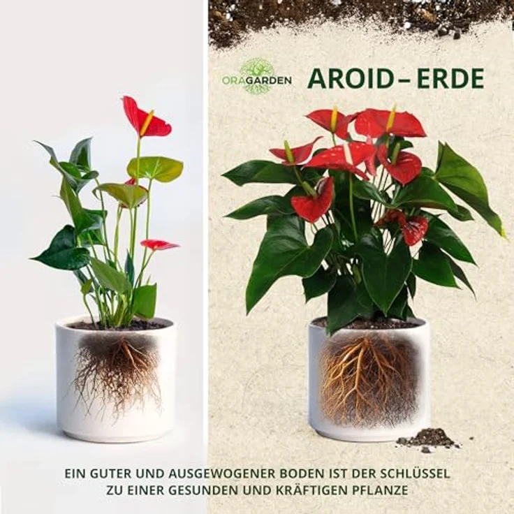 OraGarden Aroiden Erde Blumenerde für Monstera, Philodendron Premium Qualität (12L) – Bild 4