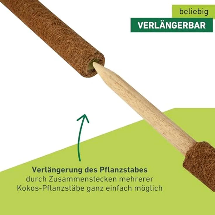 Windhager Pflanzstab Kokos, Rankstab Rankhilfe Blumenstab Kokosstab, zur Dekoration, aus natürlicher Kokosfaser, verlängerbar, 80 cm, 05662 – Bild 5