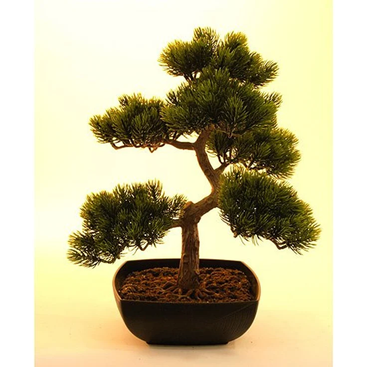 EUROPALMS Bonsai-Pinie, Kunstpflanze, 50cm | Bonsai-Pinie, hervorragend als Tischdeko geeignet – Bild 2