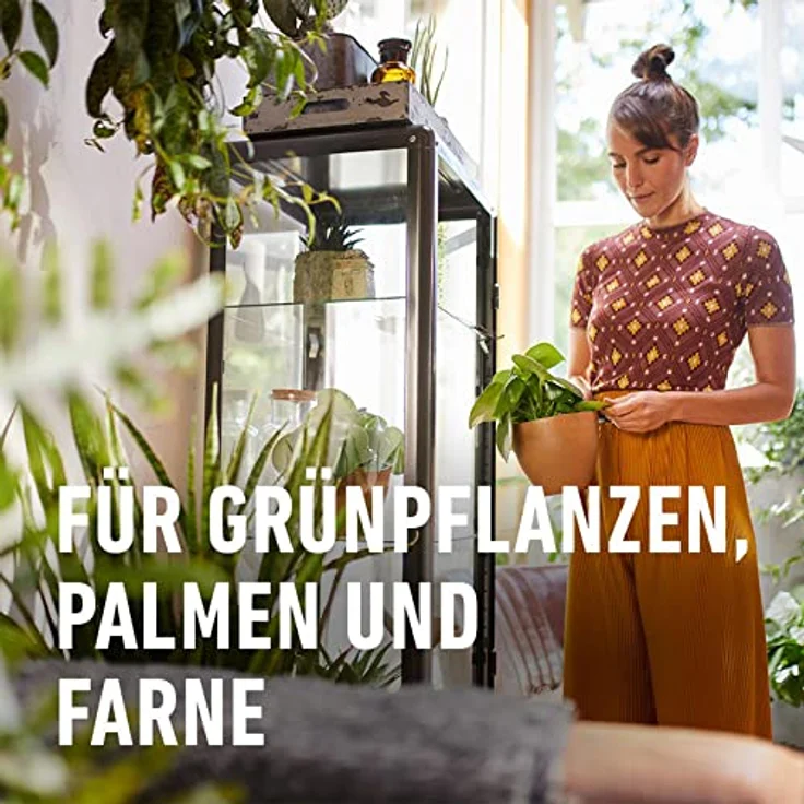 COMPO Sana Grünpflanzen- und Palmenerde 5 Liter – Bild 4