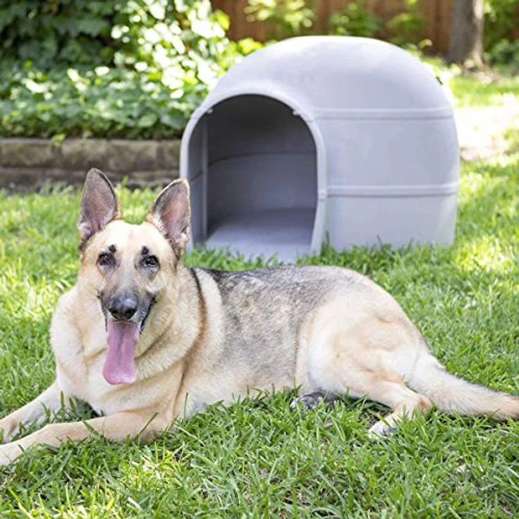 Petmate Husky Hundehütte für Hunde bis 40,8 kg, Grau - Outdoor Hundehütte mit erhöhtem Boden und auslaufsicherem Strukturschaum – Bild 5