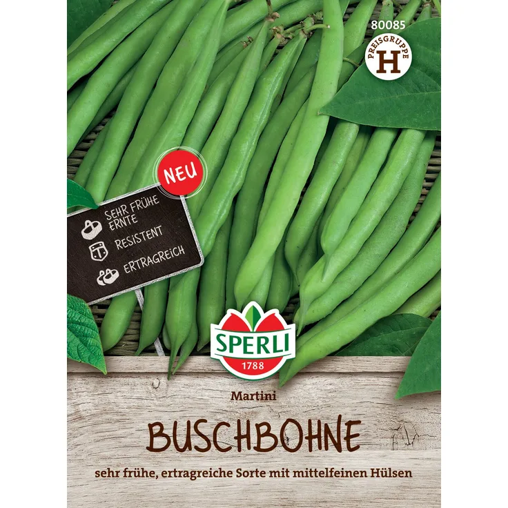 Buschbohne Martini