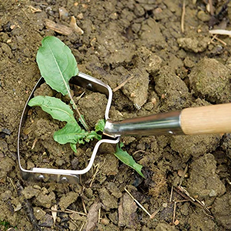 Kent & Stowe Langstiel Pendelhacke – Gartenhacke aus Edelstahl, durchtrennt Unkraut mühelos, Unkrautjäter mit Stiel aus Eschenholz, Länge: 160 cm – Bild 4