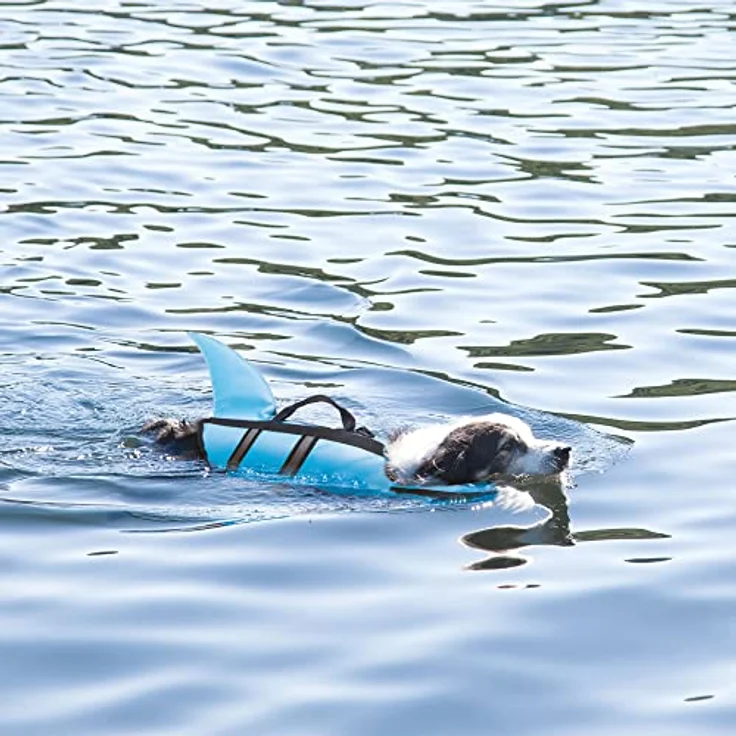 Nobby Sharki, Hundeschwimmweste in Blau mit Haifischflossen, reflektierenden Streifen und justierbaren Klickverschlüssen, Größe M für Hunde bis 25 kg – Bild 4