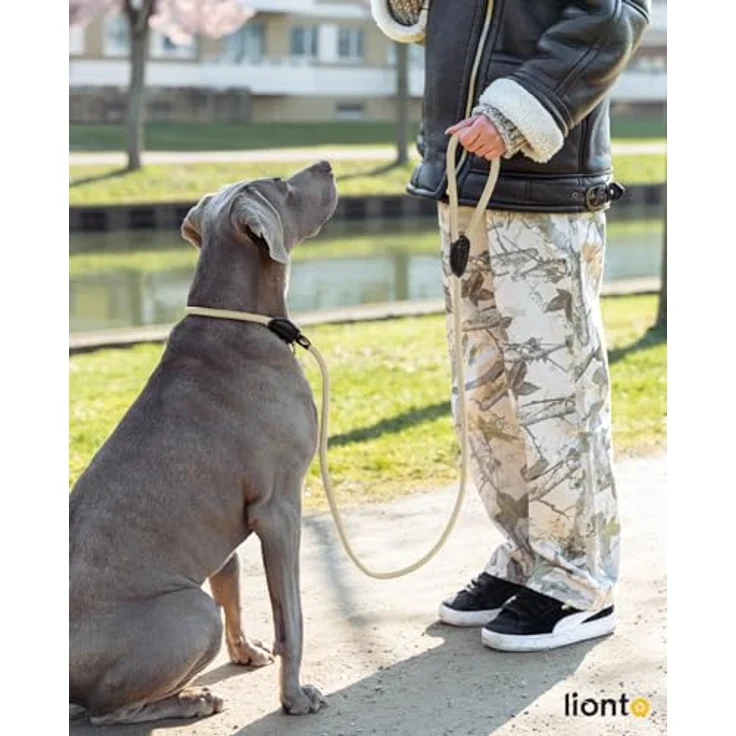 lionto Retrieverleine, wetterfest und robust, 120 cm, schnell anzulegende Leine und Halsband in Einem, vegan, beige mit Zugstopp – Bild 2
