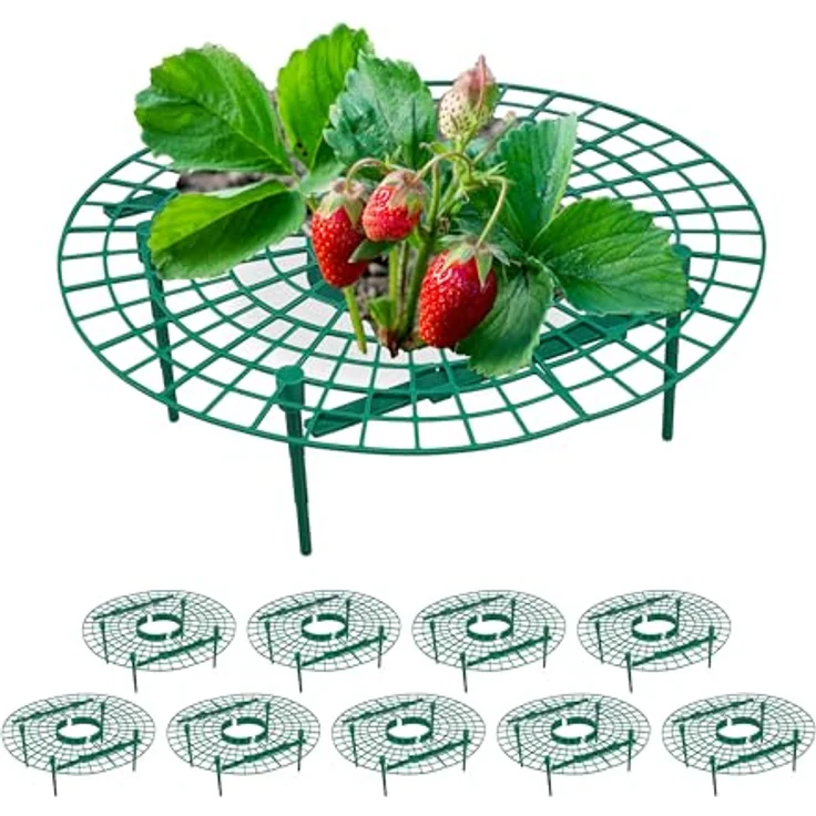 Relaxdays Erdbeerreifer, 10er Set, Schneckenschutz Erdbeeren, Kunststoff, Erdbeergitter gegen Fäulnis & Schimmel, grün – Bild 1