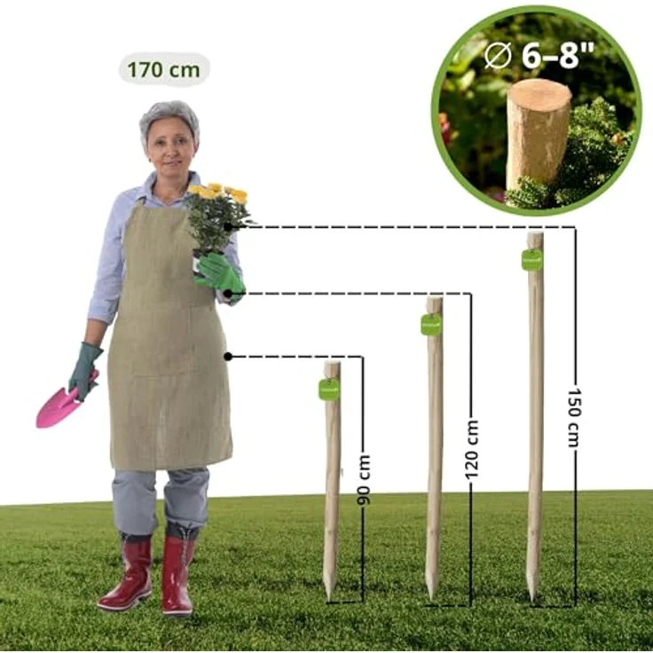 Floranica Zaunpfosten Haselholz, 150 cm angespitzter Gartenpfahl für Staketenzaun und Pflanzenstütze, robust und handgefertigt – Bild 2