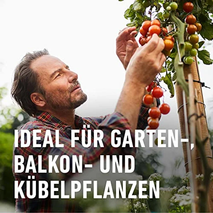 Compo Eisendünger, 250 ml – Bild 5