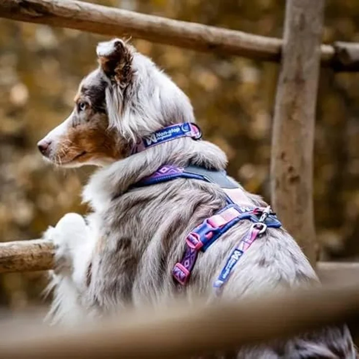 Non-stop dogwear Line Harness 5.0 Rachel Pohl Edition, multifunktionales Hundegeschirr mit Anti-Zug-Kontrolle, gepolstert, purple/pink – Bild 2