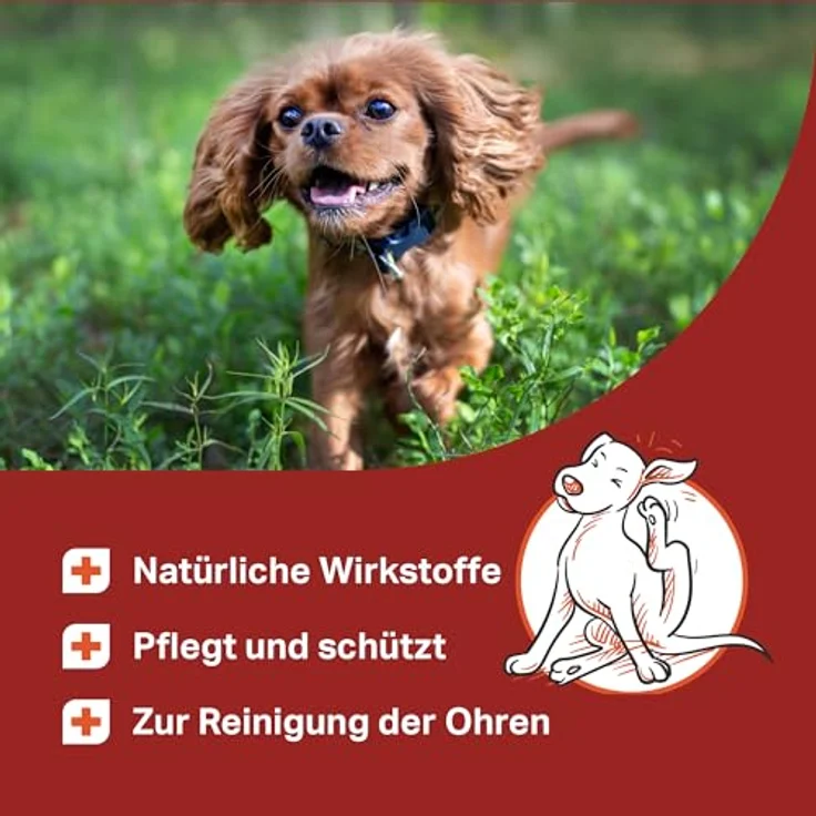 MEDIDOG Ohren-Öl – 50 ml – gegen Ohr-Milben & Jucken – Pflege für Hunde mit Jojobaöl – Ohrenpflege – Ohrenöl-Extrakt – Bild 2