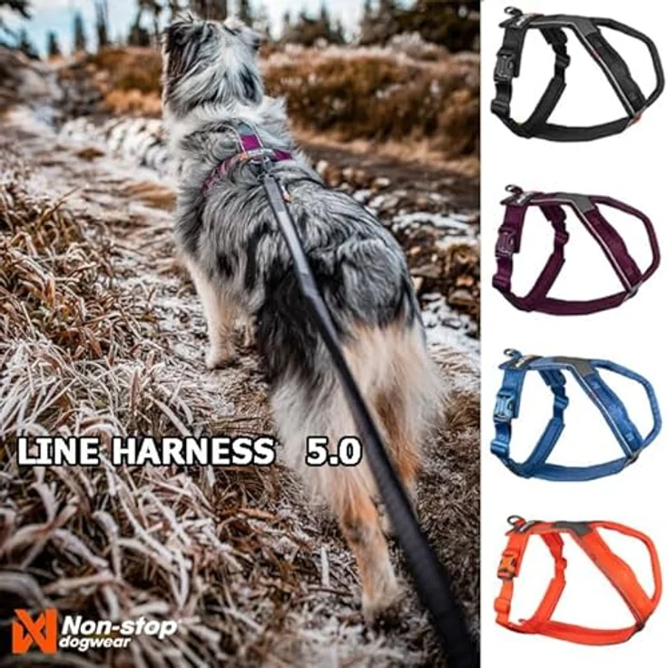 Non-stop dogwear Line Harness 5.0, Ergonomisches Führ- und Alltagsgeschirr für Hunde, Farbe: Grün, Größe: G 5 – Bild 2