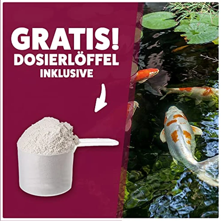 AQUASAN Gartenteich Faden-Algenfrei Plus (Beseitigt schnell und stoppt Fadenalgen im Teich. Der Fadenalgen-Entferner, Fadenalgen-Vernichter, Fadenalgen-Mittel), Inhalt:2 kg – Bild 3