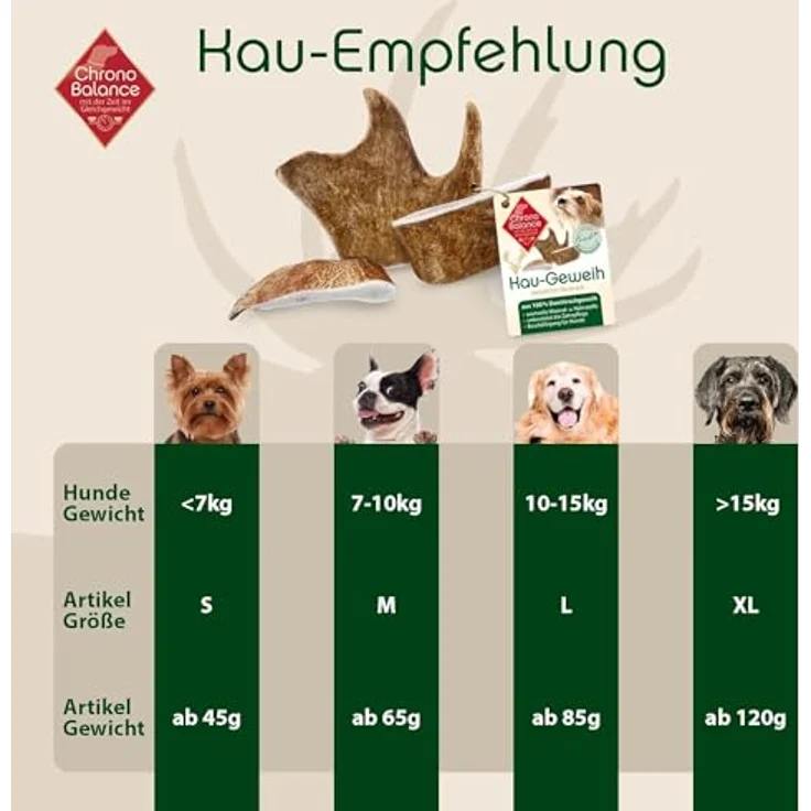 ChronoBalance® XXL Kaugeweih Damhirsch für Hunde als Kauspielzeug: 100% Geweih Abwurfstange Kaustange Hundespielzeug zur Zahnpflege, natürlicher Kausnack, Mineralstoffe & Nährstoffe – Bild 4