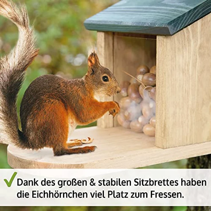 Zooprinz Eichhörnchenkobel Futterstation aus Premium Vollholz mit Plexiglas, Klappdach, große Sitzplattform, wetterfest, 26.5 cm hoch – Bild 8