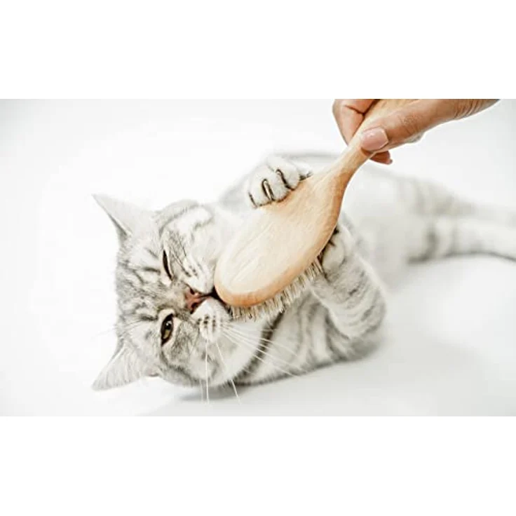LucyBalu® Katzenbürste für Kurzhaar & Langhaar | Fellbürste für Katzen| Katzenkamm zur Fellpflege von Katzen | Tierhaarbürste für Katzen| Katzenhaarbürste mit Naturborsten & Holzgriff | geölt – Bild 5