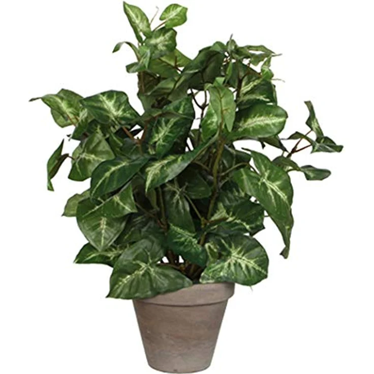 Mica Kunstpflanze Syngonium grün im Topf 35 x 25 – Bild 2