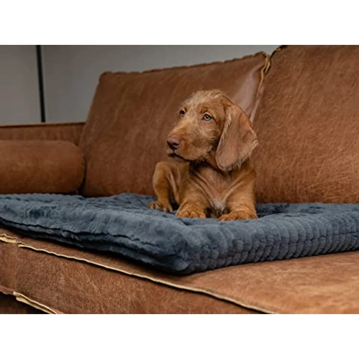 TrendPet Harmony 4cm gefütterte Hundedecke, Katzendecke, Liegedecke für Hunde und Katzen (Anthrazit, 75x55cm) – Bild 2