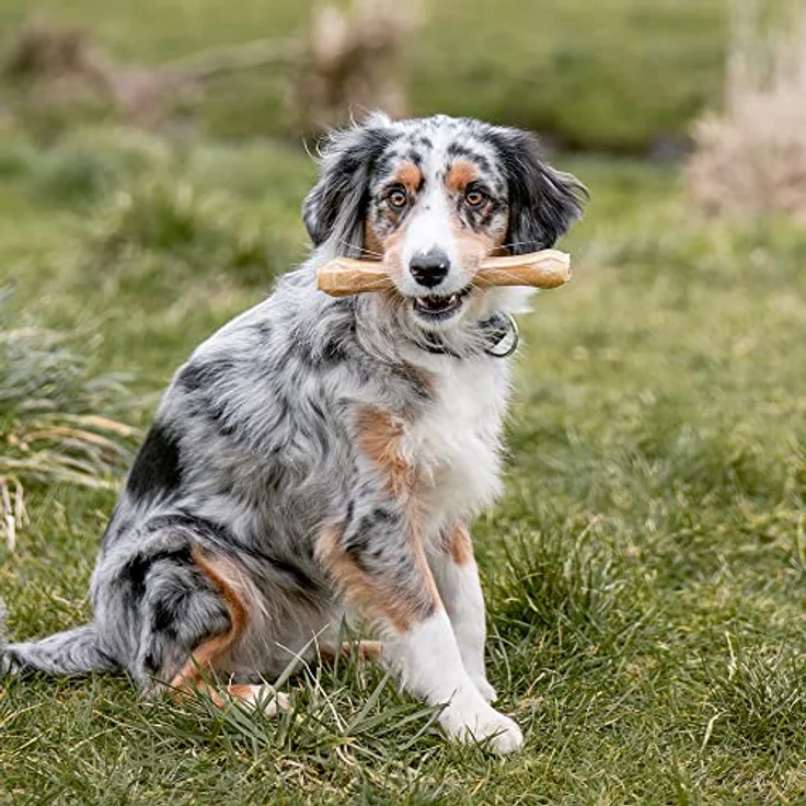 Nobby Kauknochen gepresst, 1 Packung (5 x 40 g), 11,5 cm – Bild 3