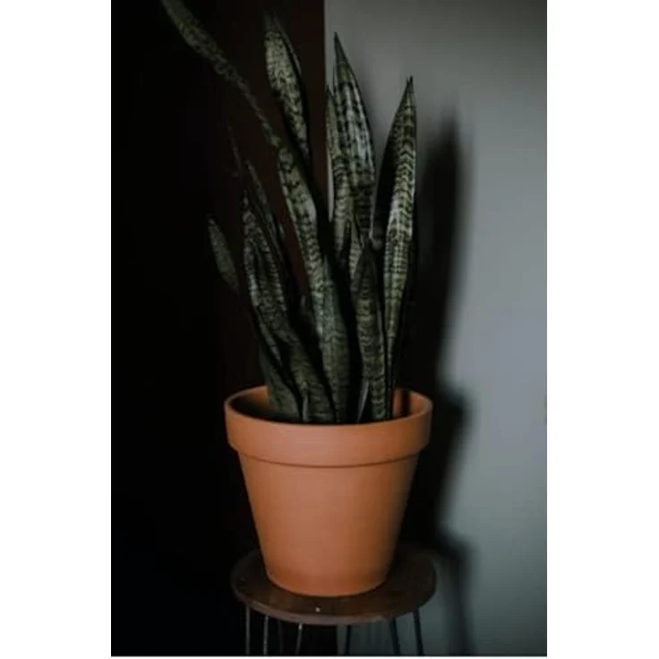 KOTARBAU® Blumentopf Übertopf aus italienischer Terrakotta ⌀ 35 cm, dekorativ für Innenräume und Gärten, atmungsaktives Material mit einzigartigem Design – Bild 3