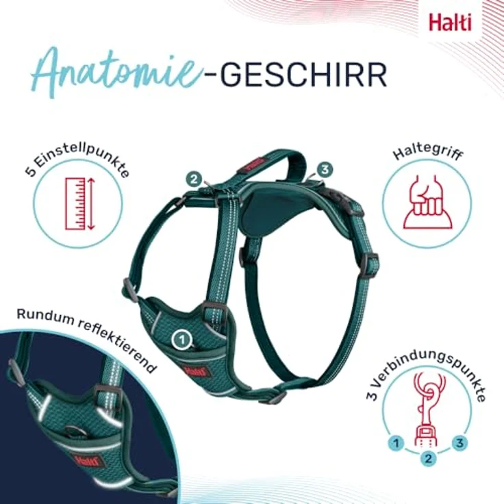 Company of Animals HALTI Anatomy Hundegeschirr mit Griff – 3 Verbindungspunkte, Neoprenpolsterung, verstellbar, reflektierend (Größe XL, Blaugrün) – Bild 3