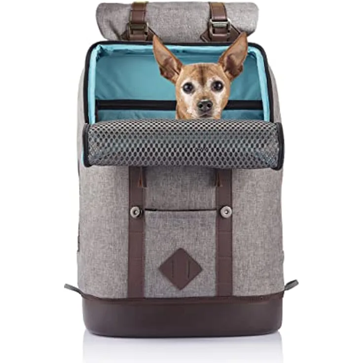Kurgo Rucksack, Mit speziellem Hundefach, Atmungsaktives Netz und Wasserfester Boden, Für Haustiere bis 11 kg, Grau