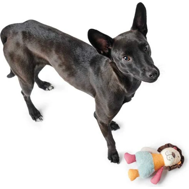 HUNTER MULI niedliches Hundespielzeug in Tier-Optik, zum Spielen und Kuscheln Farbe Löwe, Größe one-Size – Bild 2