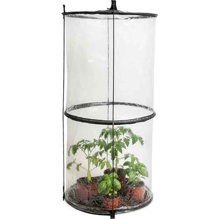 Spetebo Pop-Up Folien Gewächshaus für Tomaten, 110 x 49 cm, transparent/schwarz, mit stabilen Stützstangen und schnellem Aufbau