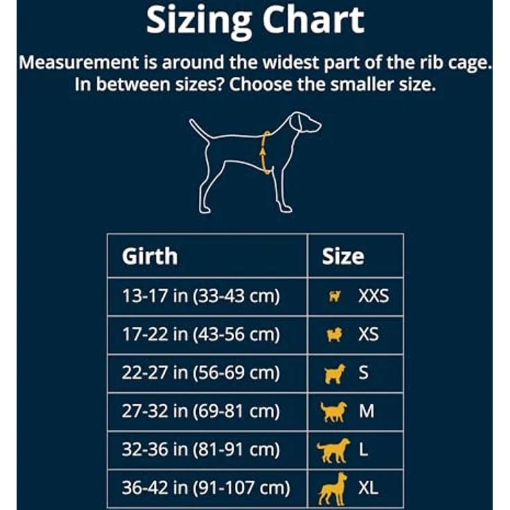 Ruffwear Front Range Geschirr Coastal Mountains M – Bild 2