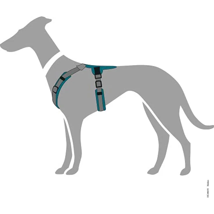 Hunter Hunde-Geschirr Maldon petrol-grau M – Bild 5