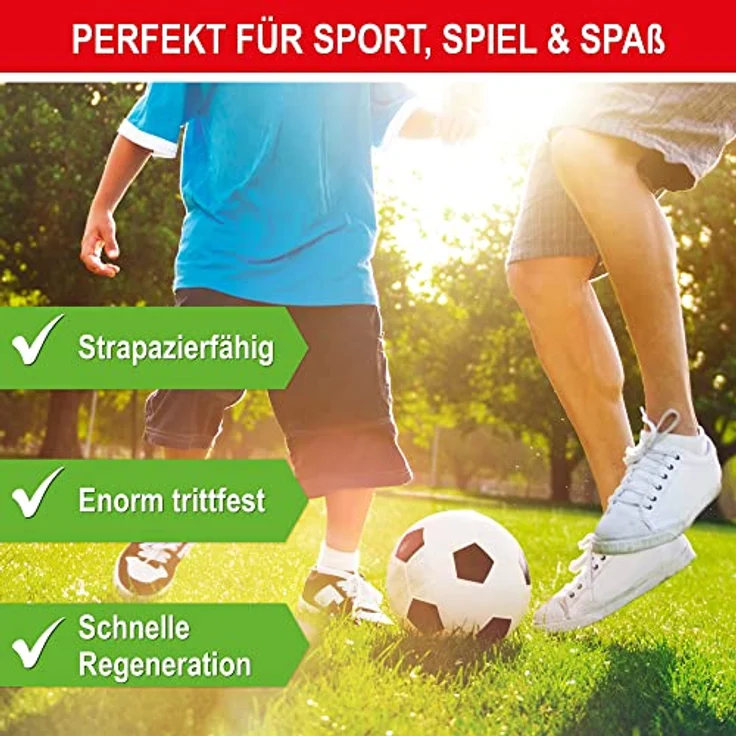 ONBEST RSM 2.3 Qualitäts Rasensamen, 1kg Sport- und Spielrasen, strapazierfähig, sattgrün & pflegeleicht, ideal für Neuansaat und Nachsaat, mit Blumensamen – Bild 3