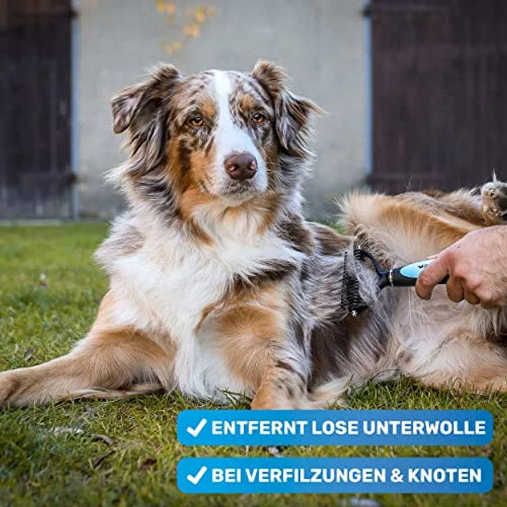 BluePet UnterwollToll Hundebürste & Katzenbürste für langhaar | Unterwollkamm entfernt Unterwolle & Verfilzungen | Massageffekt & Deckhaarschutz | Fellbürste – Bild 3