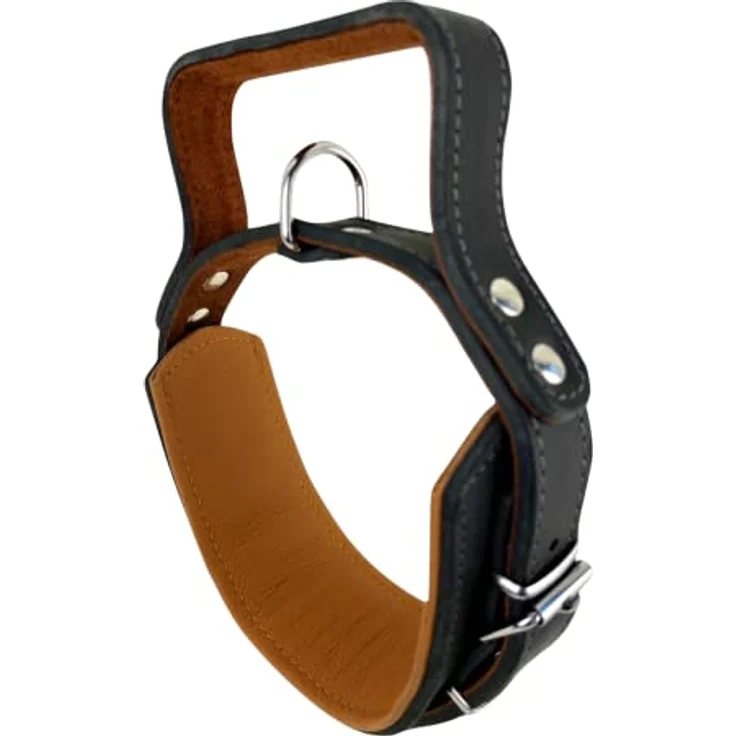 Hundehalsband mit Griff, Dickes qualitativ hochwertiges Leder 40cm bis 55cm  x 60mm - Erziehungshalsband - Taktisches Halsband - bis zu 15cm verstellbar  - weich gepolstert: Tests, Infos & Preisvergleich