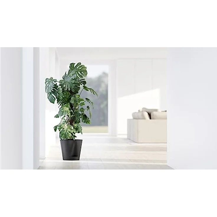ECOPOTS Blumentopf Venice 2 mit Bewässerung Dunkel Grau - Durchmesser Ø 40 cm rund groß - Pflanzentopf aus Recycling Kunststoff - Übertopf mit Wasserversorgung modern für Indoor und Outdoor – Bild 3