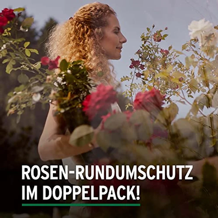 Substral Celaflor Combi-Rosen Spritzmittel - 1 x – Bild 5