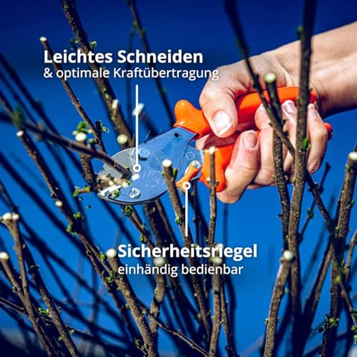 Original Löwe 5 Profi Amboss Gartenschere 5.104 mit rostfreier und antihaftbeschichteter Stahlklinge - handliche und kleine Ambossschere ideal zum Schneiden von Obstbaum Apfelbaum Kirschbaum Links- und Rechtshänder klein und mittelgroß – Bild 8