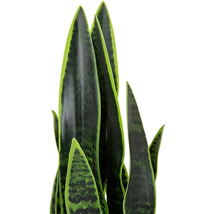 hjh OFFICE Kunstpflanze SANSEVIERIA mit Übertopf Höhe 65 cm Zimmerpflanze Bogenhanf künstlich, 871016 – Bild 2