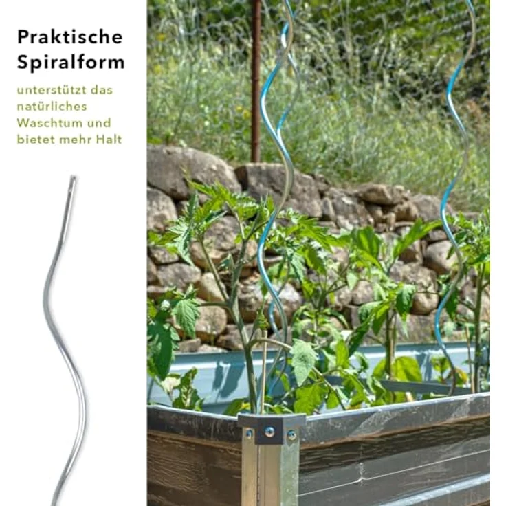 KARAT Tomatenspiralstäbe, 180 cm, 10 Stück, verzinkter Stahl, stabile Rankhilfe für Tomaten und Kletterpflanzen – Bild 3