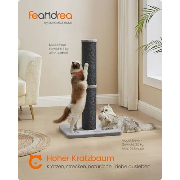 Feandrea PCA041B01 Kratzbaum, 85 cm hoch, 13 cm dicker Sisalstamm für große Katzen, mit Plüschball und Glocke, tintenschwarz – Bild 2
