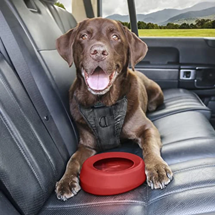 Kurgo Anti-Schlabber-Napf Splash-Free Wander Water Bowl, auslaufsicherer Napf aus lebensmittelechtem Silikon, 710 ml, rot – Bild 6