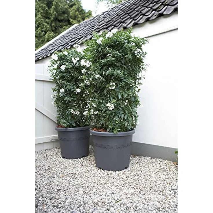 elho Algarve Cilindro 25 - Blumentopf für Außen - Pflanzentopf Draußen - Ø 24.5 x H 20.8 cm - Schwarz/Anthrazit – Bild 5