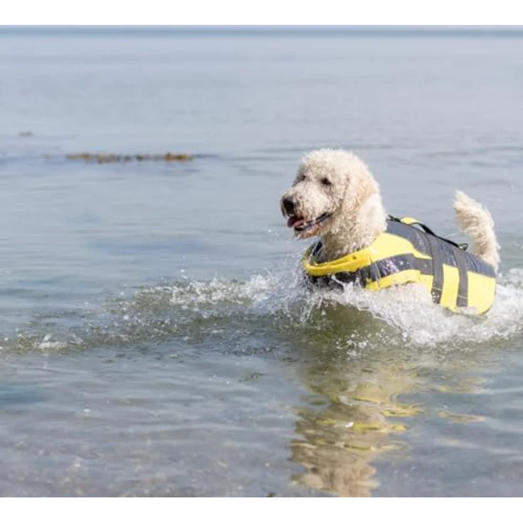 Trixie Schwimmweste (XL, Hundeschwimmweste), Hundebekleidung – Bild 6